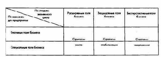 Планирование полей бизнеса с интегрированным планированием функциональных и региональных стратегий