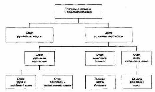 Кадровая и социальная политика