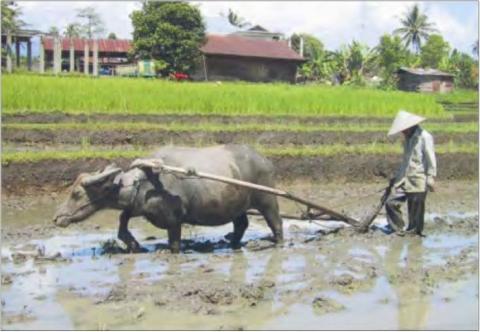 ������� �. - ������������� ����� - ������������ �� �����?