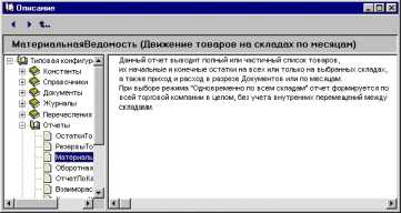 Глава 7 Пользовательское описание