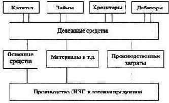 ����������-�������������� ����������� ���������� �������� �����������