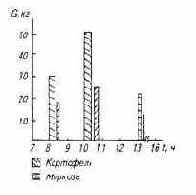 ��������������� ������ � ������ ������������