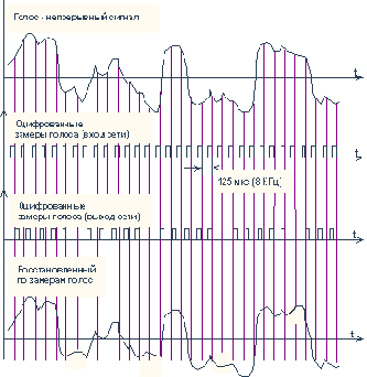 �������������� ���������������