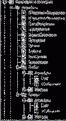 �������� �������� � ��������