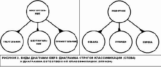 в одной из ветвей философии,