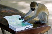 ����� �. - ��������. ����� �� ������� �������