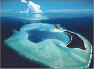 ������ �. - ����� ������� ��� ���������