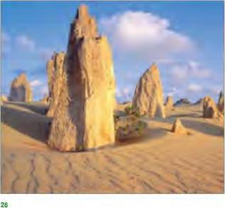 ������ �. - ����� ������� ��� ���������