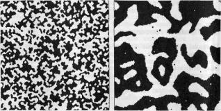 �������, �. �������� - ������ ��������� ���������