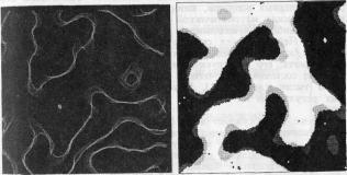 �������, �. �������� - ������ ��������� ���������