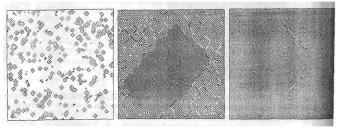 �������, �. �������� - ������ ��������� ���������