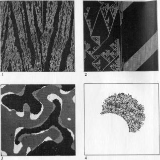 �������, �. �������� - ������ ��������� ���������