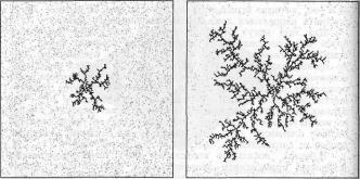 �������, �. �������� - ������ ��������� ���������