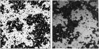 �������, �. �������� - ������ ��������� ���������