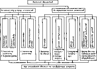 �. �. ���������, � �. ������, �. �. ����� - �������������� ������������������ �������� � �����