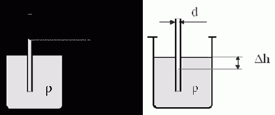 ���� �������������� ���������