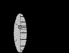 �������� ������ ������