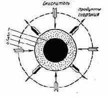 ��������� ��������� ������������ �����������