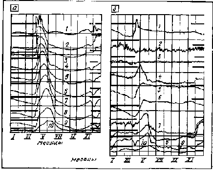 ���������� � ������������ �����������