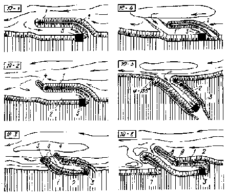 ���������� � ������������ �����������