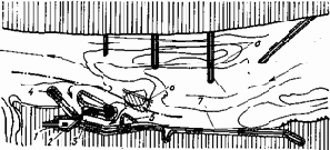 ���������� � ������������ �����������