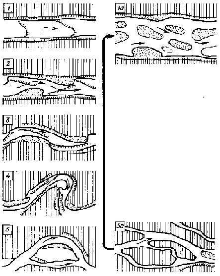 ���������� � ������������ �����������