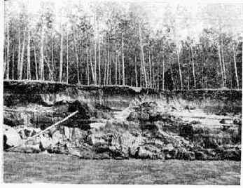 ���������� � ������������ �����������