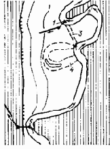 ���������� � ������������ �����������