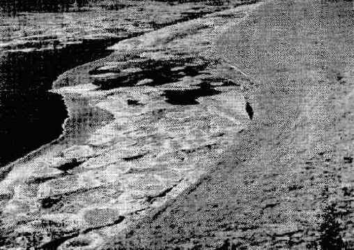 ���������� � ������������ �����������