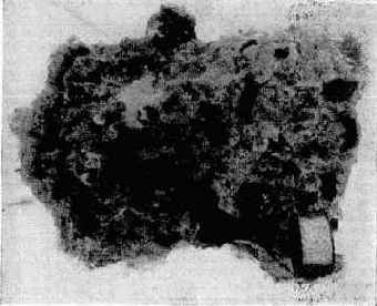 ���������� � ������������ �����������