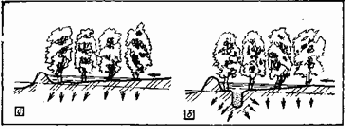 ���������� � ������������ �����������