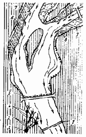 ���������� � ������������ �����������