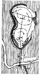 ���������� � ������������ �����������