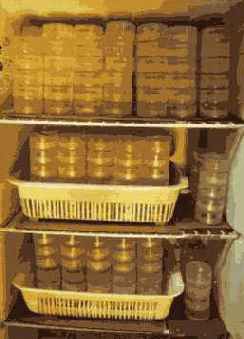 ������� ���� ��� ������������ � ���������