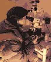 ������� ���� ��� ������������ � ���������