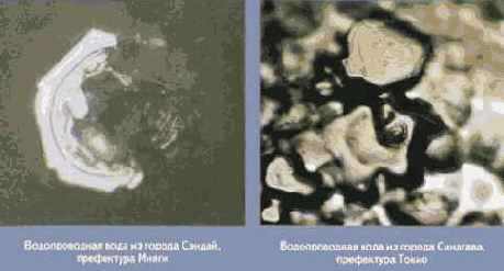 ������� ���� ��� ������������ � ���������