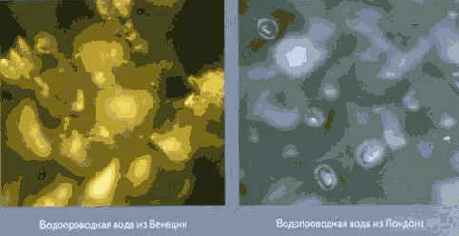 ������� ���� ��� ������������ � ���������