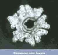 ������� ���� ��� ������������ � ���������