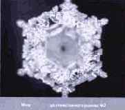 ������� ���� ��� ������������ � ���������