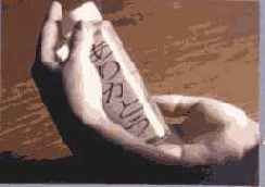 ������� ���� ��� ������������ � ���������