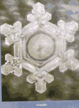 ������� ���� ��� ������������ � ���������