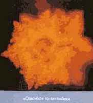 ������� ���� ��� ������������ � ���������