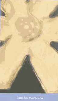 ������� ���� ��� ������������ � ���������