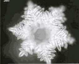 ������� ���� ��� ������������ � ���������