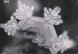 ������� ���� ��� ������������ � ���������