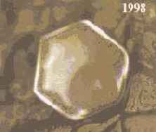 ������� ���� ��� ������������ � ���������