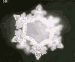 ������� ���� ��� ������������ � ���������