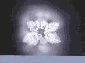 ������� ���� ��� ������������ � ���������