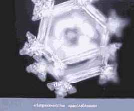 ������� ���� ��� ������������ � ���������