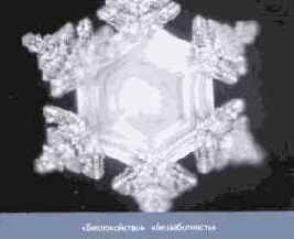 ������� ���� ��� ������������ � ���������